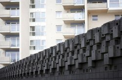 Эволюция клетки: архитектура для животных. Часть 1