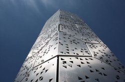 Эволюция клетки: архитектура для животных. Часть 1