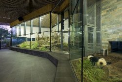 Эволюция клетки: Архитектура для животных. Часть 2