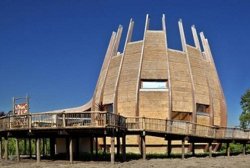 Эволюция клетки: Архитектура для животных. Часть 2